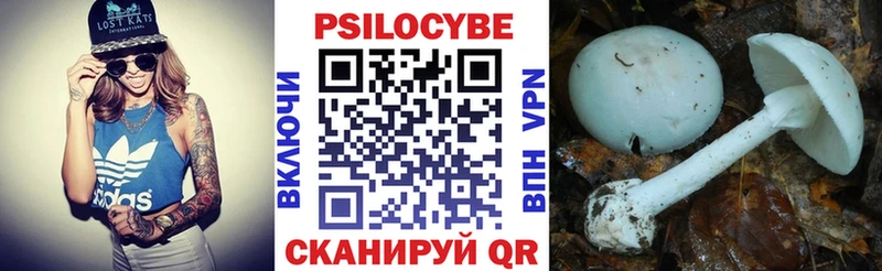 Купить где  Бокситогорск  Псилоцибиновые грибы Cubensis 