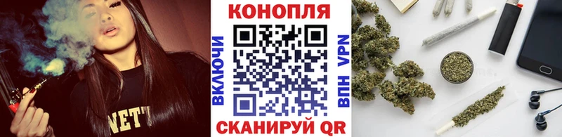 Бошки Шишки конопля  Купить где  Бокситогорск 